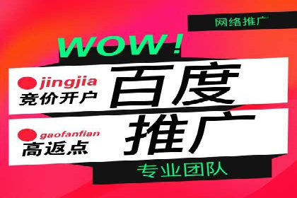 案例解析：百度竞价广告成功投放经验